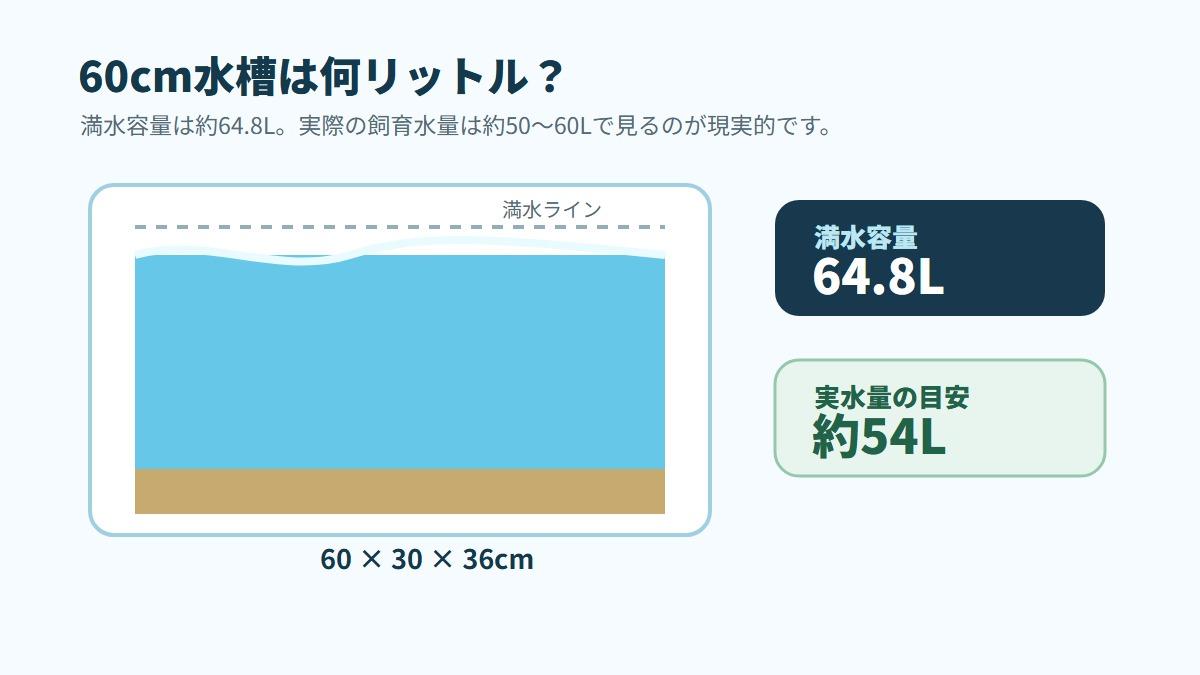 水位と底砂が60cm水槽の実水量に与える影響