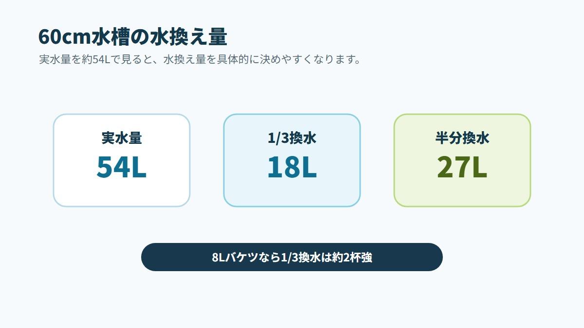 60cm水槽の塩浴量の目安
